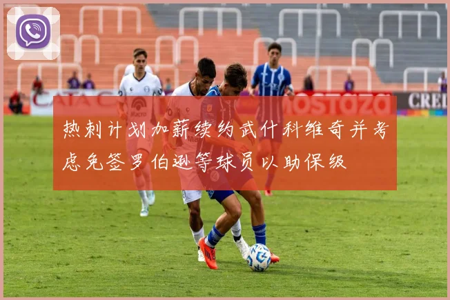 热刺计划加薪续约武什科维奇并考虑免签罗伯逊等球员以助保级