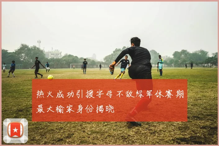 热火成功引援字母不敌绿军休赛期最大输家身份揭晓