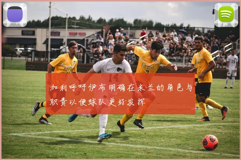 加利呼吁伊布明确在米兰的角色与职责以便球队更好发挥