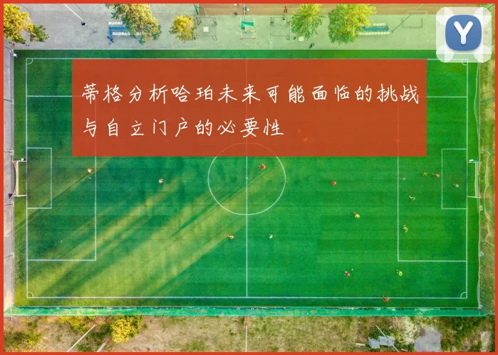 蒂格分析哈珀未来可能面临的挑战与自立门户的必要性